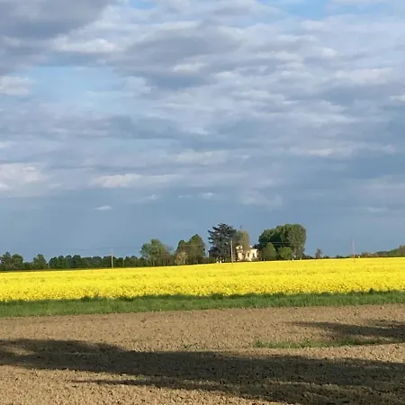 Il Caprifoglio مودينا